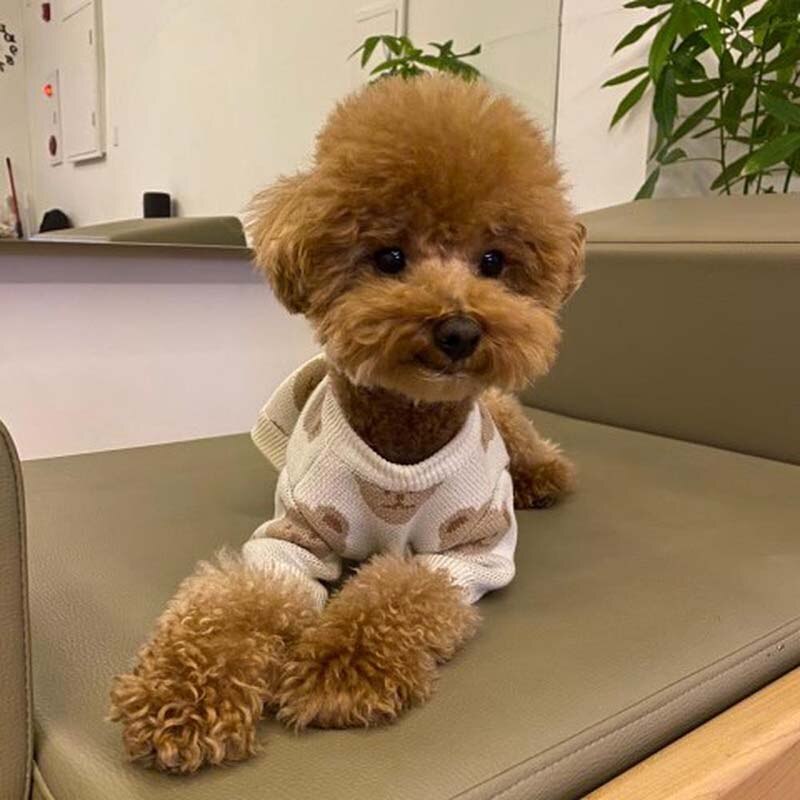 Blue and White Cotton Pet Sweater